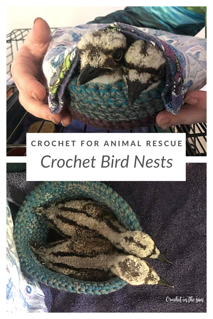 5 reasons why you should crochet a bird nest for animal rescue! Learn how you can crochet for animal rescue, and how you can make a difference just using some yarn and your crochet hooks.